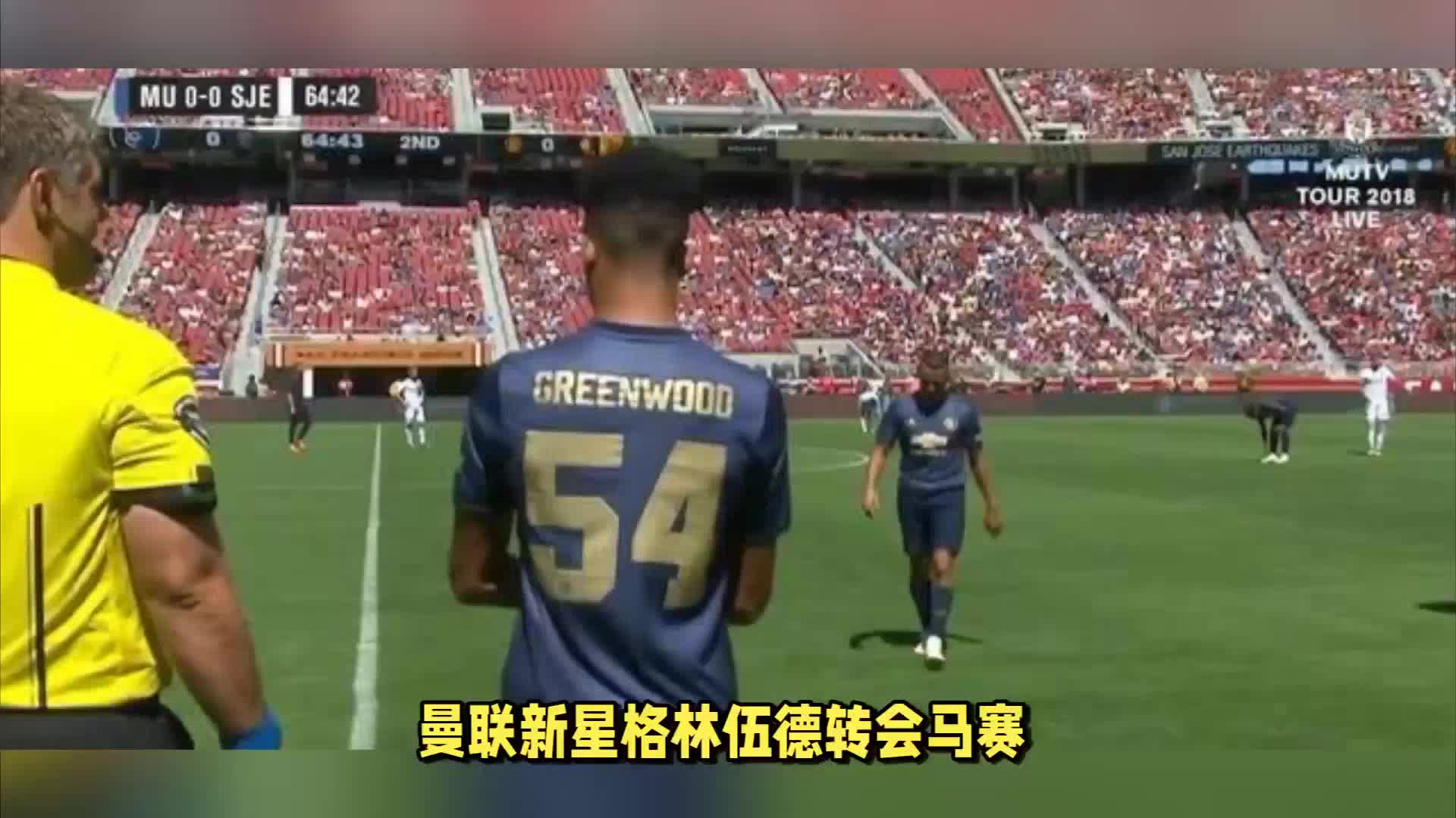 球训